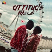 Nkechi - Single - Attitude