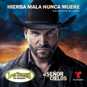 Hierba Mala Nunca Muere (Música Original de la Serie el Señor de los Cielos 8)