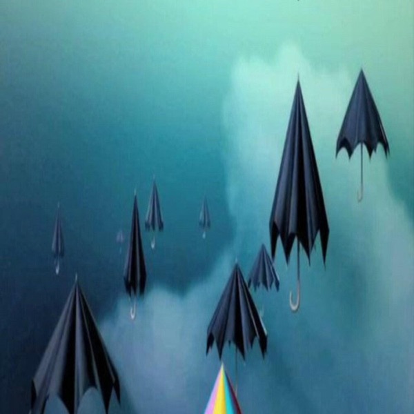 Flying Umbrella's