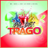 Pal de Trago (feat. Rdi la Para Lirical) - Single - Mr.Axel