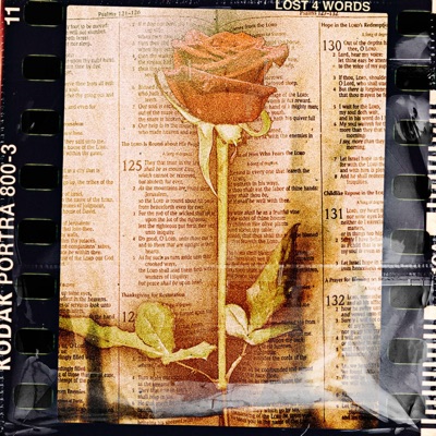 Lost 4 Words - Single