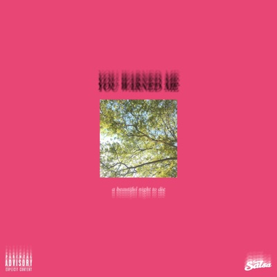 You Warned Me - Single