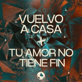Tu Amor No Tiene Fin (Live) artwork