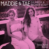 Die from a Broken Heart (Dave Audé Remix) artwork