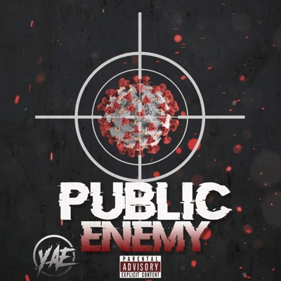 Public Enemy