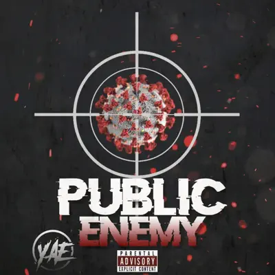 YAE adlı sanatçının Public Enemy albümünü dinle