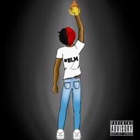 Downfall of Racism - Single - Almighty Tesla