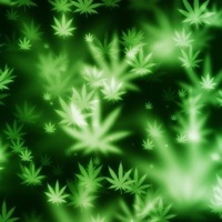 So Loaded - Single - YvngKeeGliss