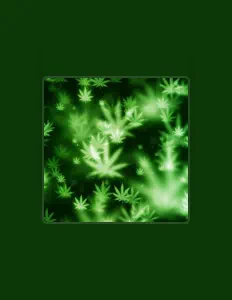 Poslechněte si interpreta YvngKeeGliss, sledujte hudební videa, přečtěte si životopis, podívejte se na data turné a další informace.