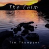 The Calm - Single