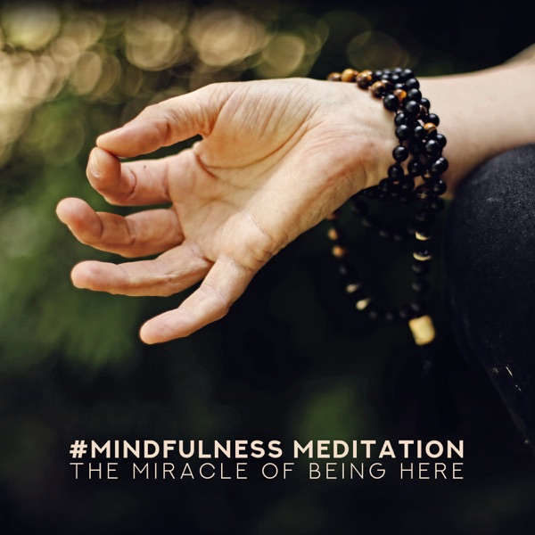 #Mindfulness Meditation - The Miracle of Being Here, Conscious Life, Relax, Kindness & Compassion
