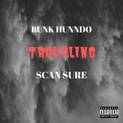 Troubling (feat. Scan Sure) - Single