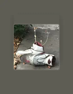 Écoutez Shawn Rush, regardez des vidéoclips, lisez la biographie, consultez les dates de tournée et plus encore !