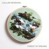 Callum Henshaw - El Mestre