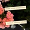 Some Kind of Special (feat. Leanna Lilee) - Caino lyrics