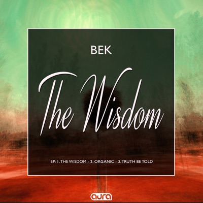 The Wisdom - Single