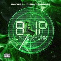 Blip on My Radar (feat. Wishaniggawood) - Single - Trapizo