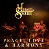 Peace, Love and Harmony - Single