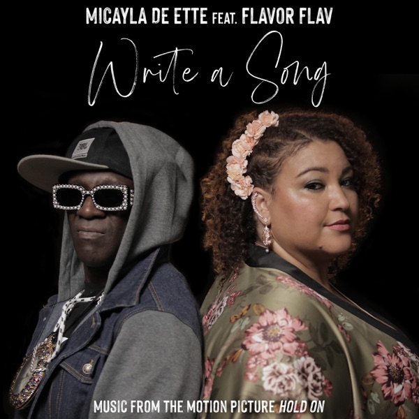 Write a Song (feat. Flavor Flav) - Single