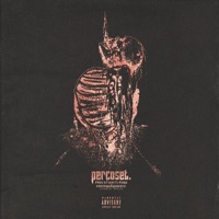 Percoset - Single - TELLY GRAVE