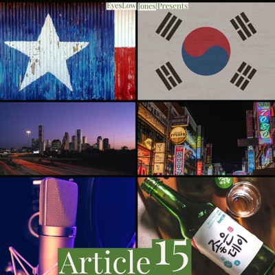 Article 15 (feat. godo_frice) - Single