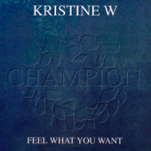 Feel What You Want (Our Tribe Vocal Mix)