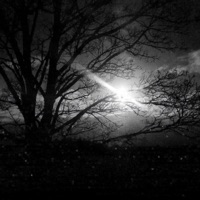 Colourless - EP - Marie