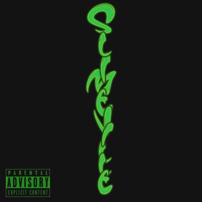 Slimeville