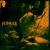 Jungle - Single