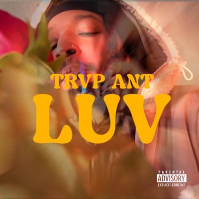 Luv - Single