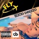 FLY Single