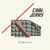 Cool Jerks - Tory Paradise