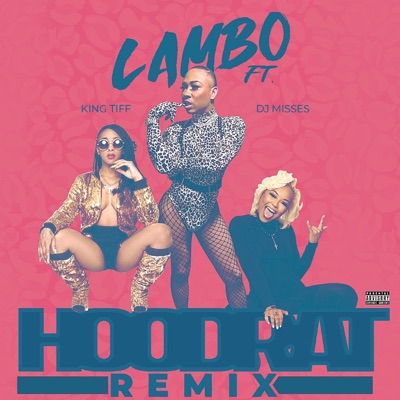 Hoodrat (feat. DjMisses & King Tiff) [Remix] - Single