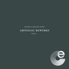 Like Spinning Plates (Niklas Paschburg Rework) - Echo Collective