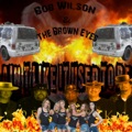 カバー歌手｜Bob Wilson & The Brown Eyes