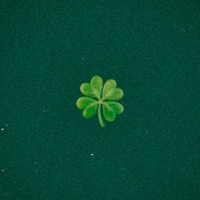 Plantas Freestyle (feat. Zeller, Paganini, Keny & Pagan) - Single - The Future