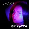 Spark