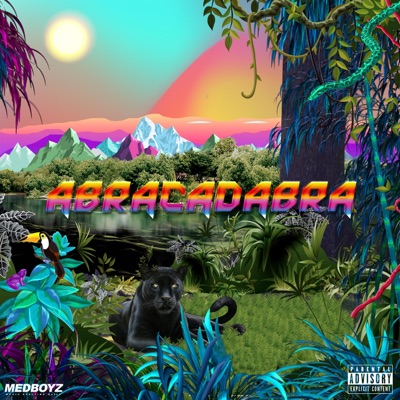 Abracadabra - Single