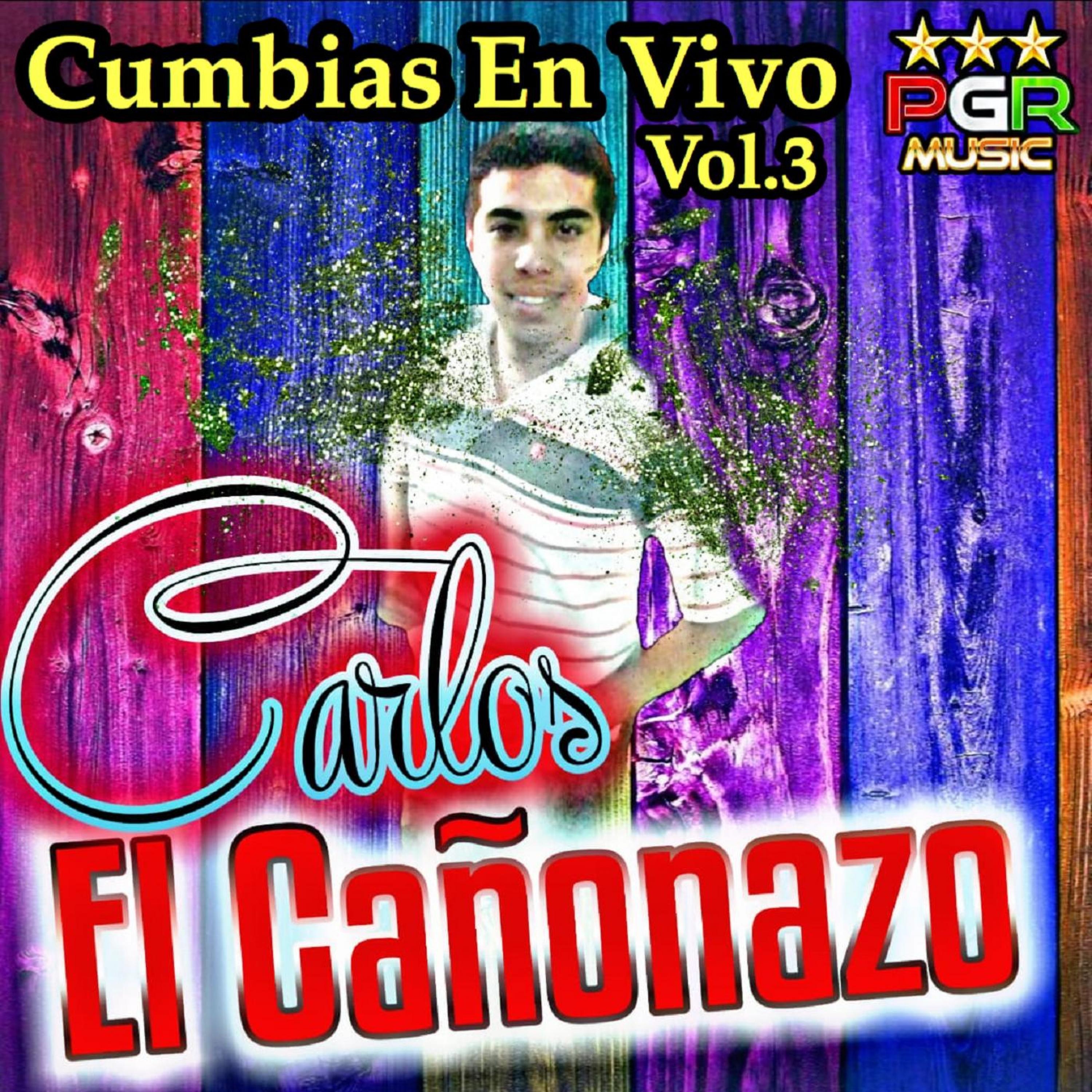 Cumbias en Vivo, Vol. 3