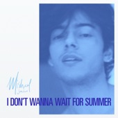 I Don't Wanna Wait For Summer artwork