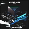 The WhiteNoiize Collective: Water Album