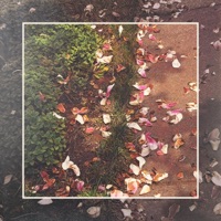 Kasual - Single - invention_ & Fatb