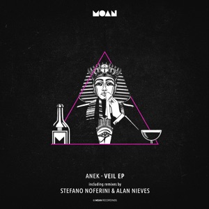 Veil - EP