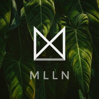 Sticky Situation - Single - MLLN