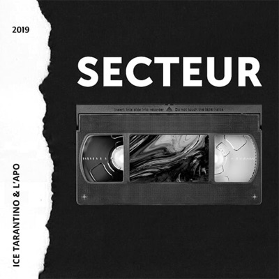 Secteur (feat. Ice Raine) - Single