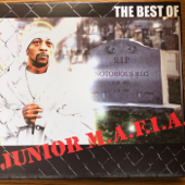 Get Money (Radio Edit) - Junior M.A.F.I.A.