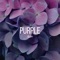 Purple - Rabs lyrics