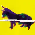 the promise ring - Saturday