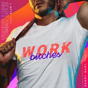 Work Bitches (Danny Mart Remix) [feat. Alan T] - Single