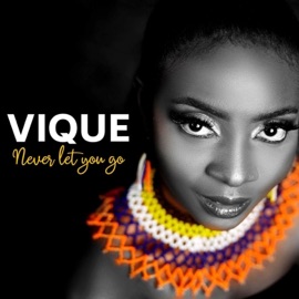 Never Let You Go Vique